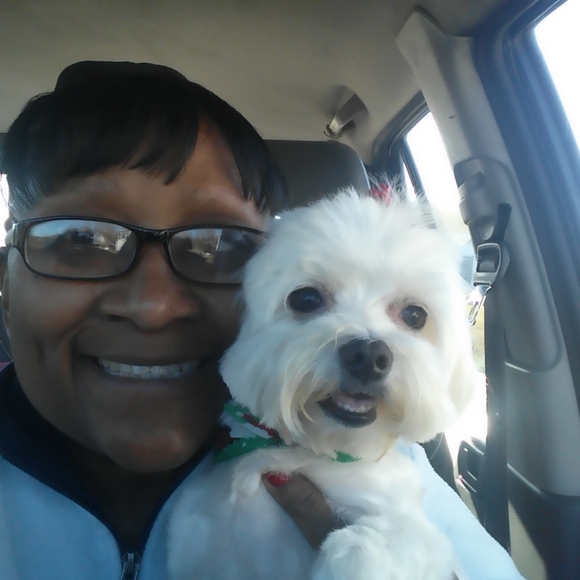 Meet your Posher, Elizabeth - Picture 5 of 9